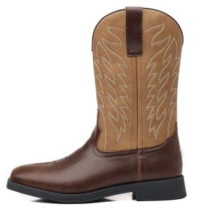 bottes cowboy déguisement